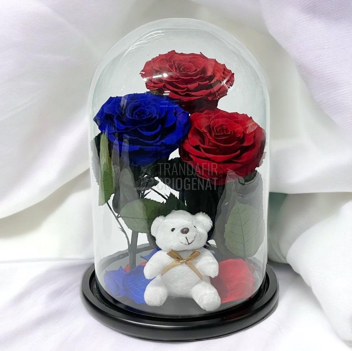 Magia florilor nemuritoare in cupola: surprinde-ti iubita cu un mesaj personalizat - Trandafir-Criogenat.ro