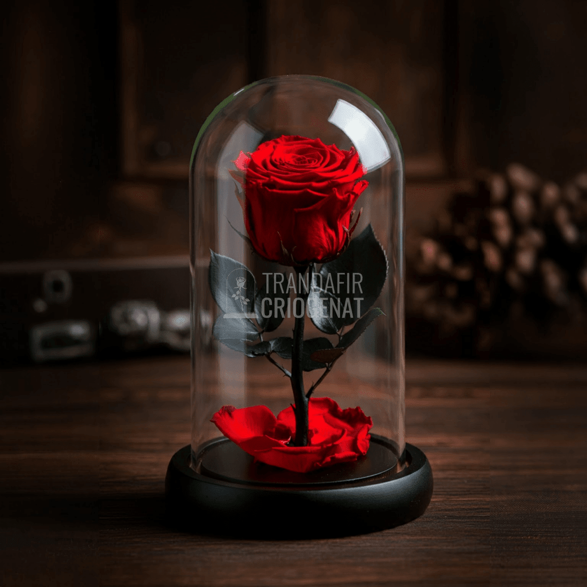 Romantism la Superlativ: Trandafiri Criogenați în Cupolă de Sticlă pentru Cadouri de Lux Valentine’s Day - Trandafir-Criogenat.ro