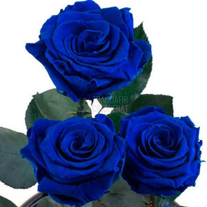 3 Trandafiri Criogenati XL Albastrii In Cupolă De Sticlă Cu Mesaj Personalizat Cadou Elegant