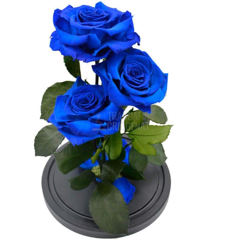 3 Trandafiri Criogenati XL Albastrii In Cupolă De Sticlă Cu Mesaj Personalizat Cadou Elegant