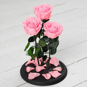 3 Trandafiri Criogenati XL Roz in Cupolă De Sticlă 15x25 Cm Cu Mesaj Personalizat Scris