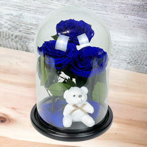 3 Trandafiri Criogenati Albastri în Cupolă de Sticlă cu Ursuleț Plush de Lux - Trandafir - Criogenat.ro