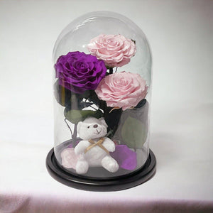 3 Trandafiri Criogenați Deosebiți Roz și Purpuriu în Cupolă de Sticlă Elegantă - Trandafir - Criogenat.ro