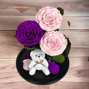 3 Trandafiri Criogenați Deosebiți Roz și Purpuriu în Cupolă de Sticlă Elegantă - Trandafir - Criogenat.ro