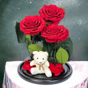 3 Trandafiri Criogenați Roșii Mari în Cupolă de Sticlă cu Ursuleț de Pluș Cadou - Trandafir - Criogenat.ro