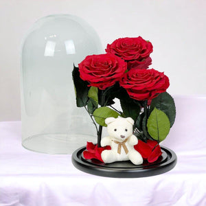 3 Trandafiri Criogenați Roșii Mari în Cupolă de Sticlă cu Ursuleț de Pluș Cadou - Trandafir - Criogenat.ro