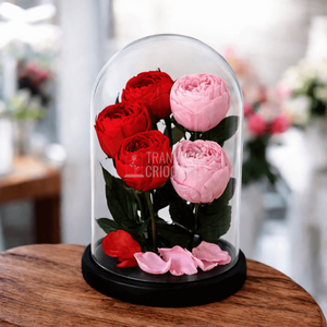 5 Bujori Criogenati In Cupola De Sticla Mare Cu 3 Rosii Si 2 Roz Cupola 17x28cm Cu Mesaj Scris