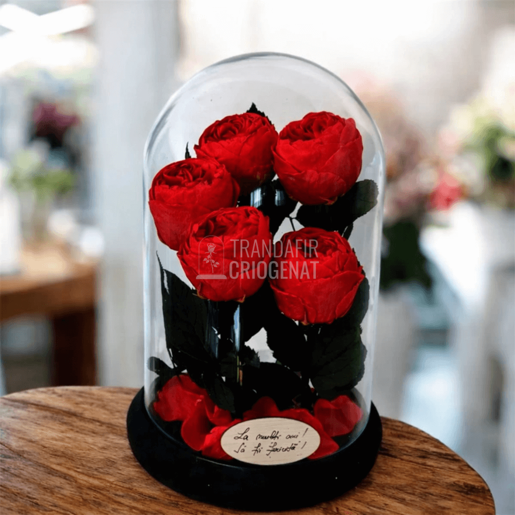 5 Bujori Criogenati Rosii In Cupolă De Sticlă Mare Cu Mesaj Durabil De 25 De Ani 17x28 cm