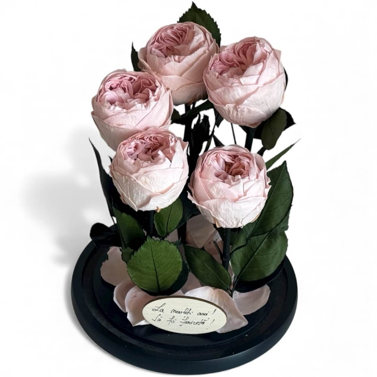 5 Bujori Criogenati Roz Cupola Din Sticla 6 - 7cm Cadou Mesaj In Cupola 17x28cm - Trandafir - Criogenat.ro