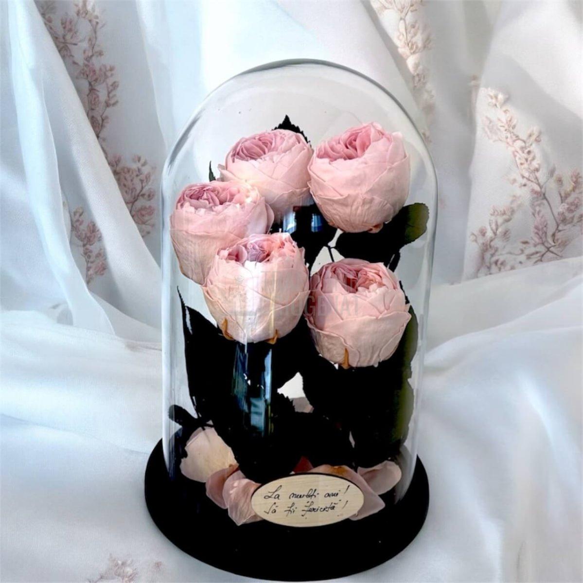 5 Bujori Criogenati Roz Cupola Din Sticla 6 - 7cm Cadou Mesaj In Cupola 17x28cm - Trandafir - Criogenat.ro