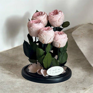 5 Bujori Criogenati Roz Cupola Din Sticla 6 - 7cm Cadou Mesaj In Cupola 17x28cm - Trandafir - Criogenat.ro