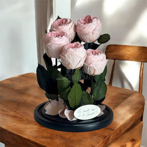 5 Bujori Criogenati Roz Cupola Din Sticla 6 - 7cm Cadou Mesaj In Cupola 17x28cm - Trandafir - Criogenat.ro