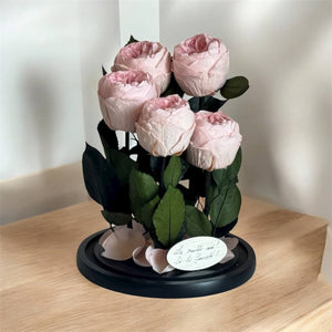 5 Bujori Criogenati roz Ø6 - 7cm in cupola mare de sticla 17x28cm (cu mesaj) - Trandafir - Criogenat.ro