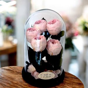 5 Bujori Criogenati roz Ø6 - 7cm in cupola mare de sticla 17x28cm (cu mesaj) - Trandafir - Criogenat.ro