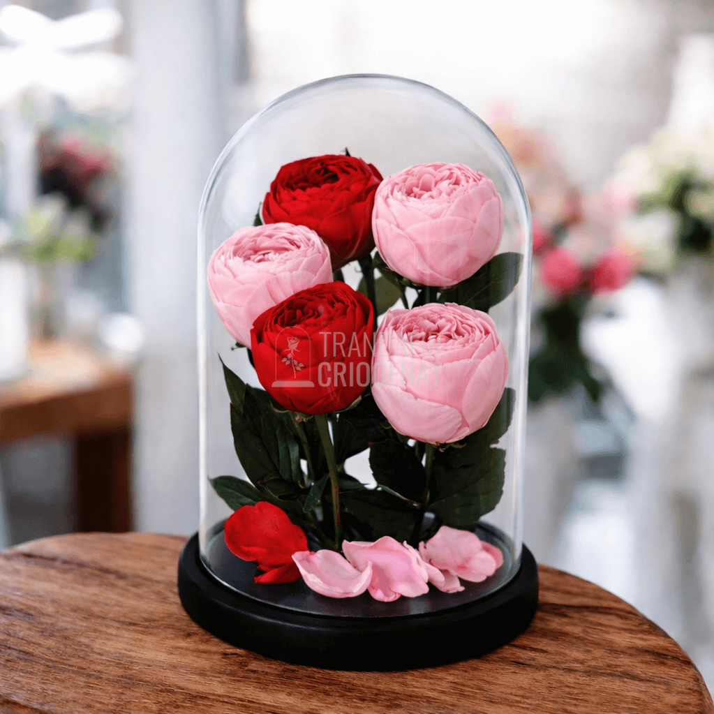 Bujori Criogenati In Cupolă De Sticlă Mare, 3 Roz Și 2 Roșii, Mesaj Personalizat Pe Plăcuța Ovală, Cupolă 17x28 Cm