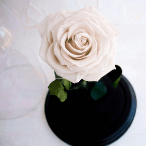 Trandafir Criogenat Alb Prafuit In Cupola De Sticla Cu Mesaj Personalizat Cadou Pentru Femei