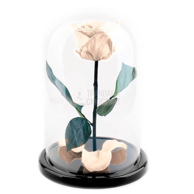 Trandafir Criogenat Alb Prafuit In Cupola De Sticla Cu Mesaj Personalizat Cadou Pentru Femei