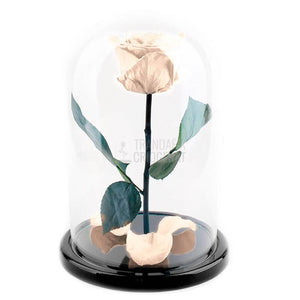 Trandafir Criogenat Alb Prafuit In Cupola De Sticla Cu Mesaj Personalizat Cadou Pentru Femei