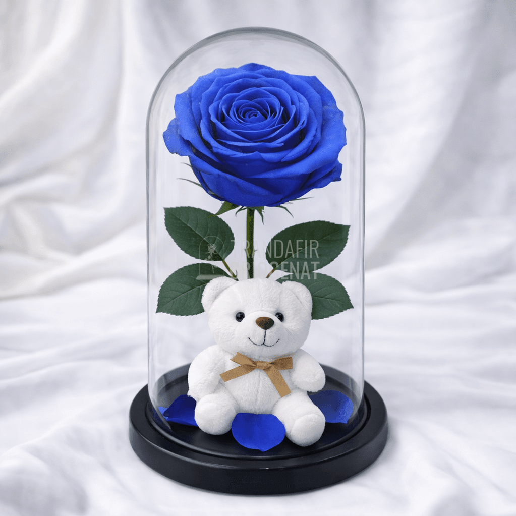 Trandafir Criogenat Albastru În Cupola De Sticla Cadou Iubitei Rezistă Peste 25 De Ani