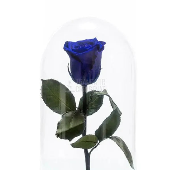 Trandafir Criogenat Albastru În Cupolă Sticlă Cadou Perfect Femei Cu Mesaj Scris Rezistă 25 Ani
