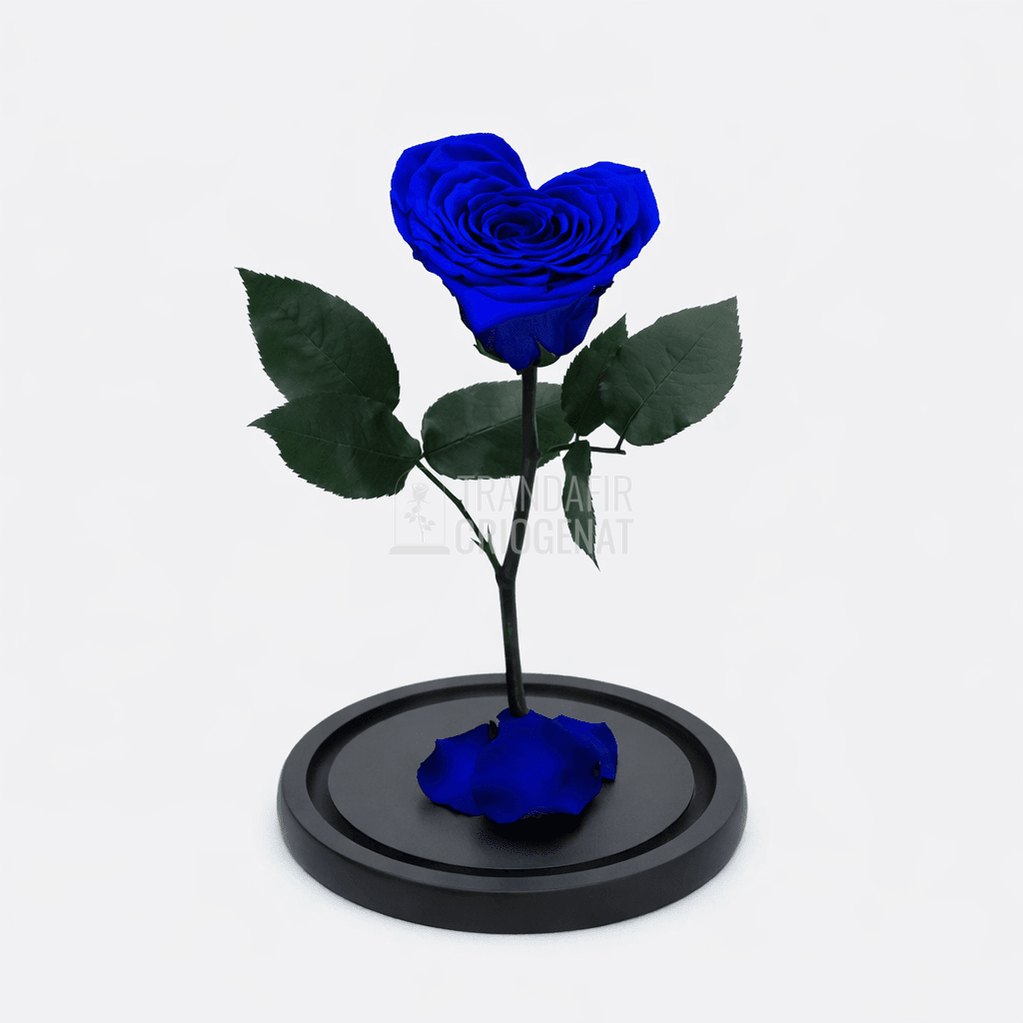 Trandafir Criogenat Albastru Inimă În Cupolă De Sticlă Cu Mesaj Personalizat Cadou Pentru Femei