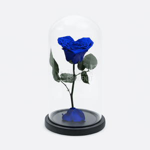 Trandafir Criogenat Albastru Inimă În Cupolă De Sticlă Cu Mesaj Personalizat Cadou Pentru Femei