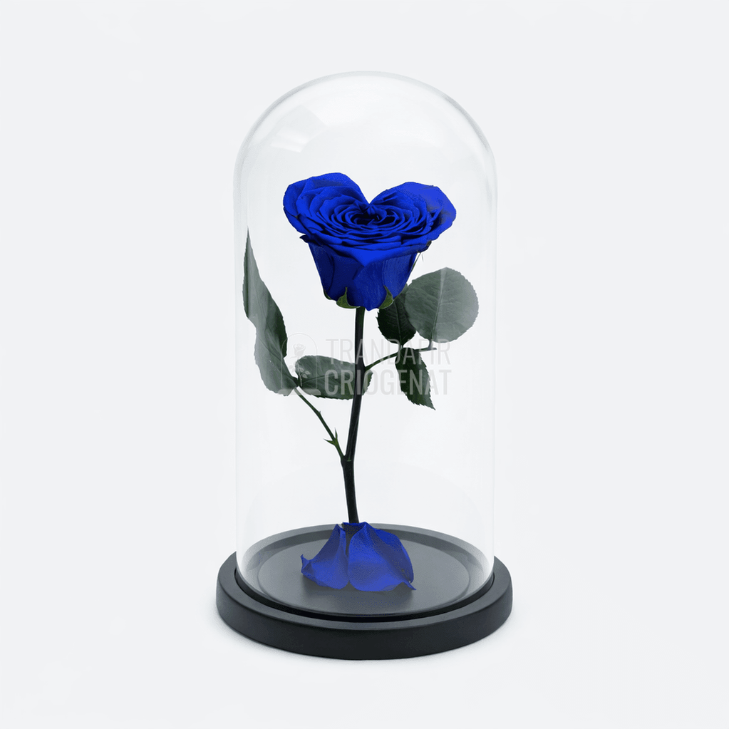 Trandafir Criogenat Albastru Inimă În Cupolă De Sticlă Cu Mesaj Personalizat Cadou Pentru Femei