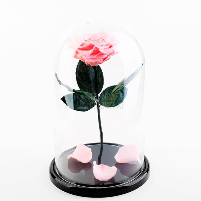 Trandafir Criogenat Bella Roz Pal In Cupola De Sticla, Cadou Personalizat Cu Mesaj Scris