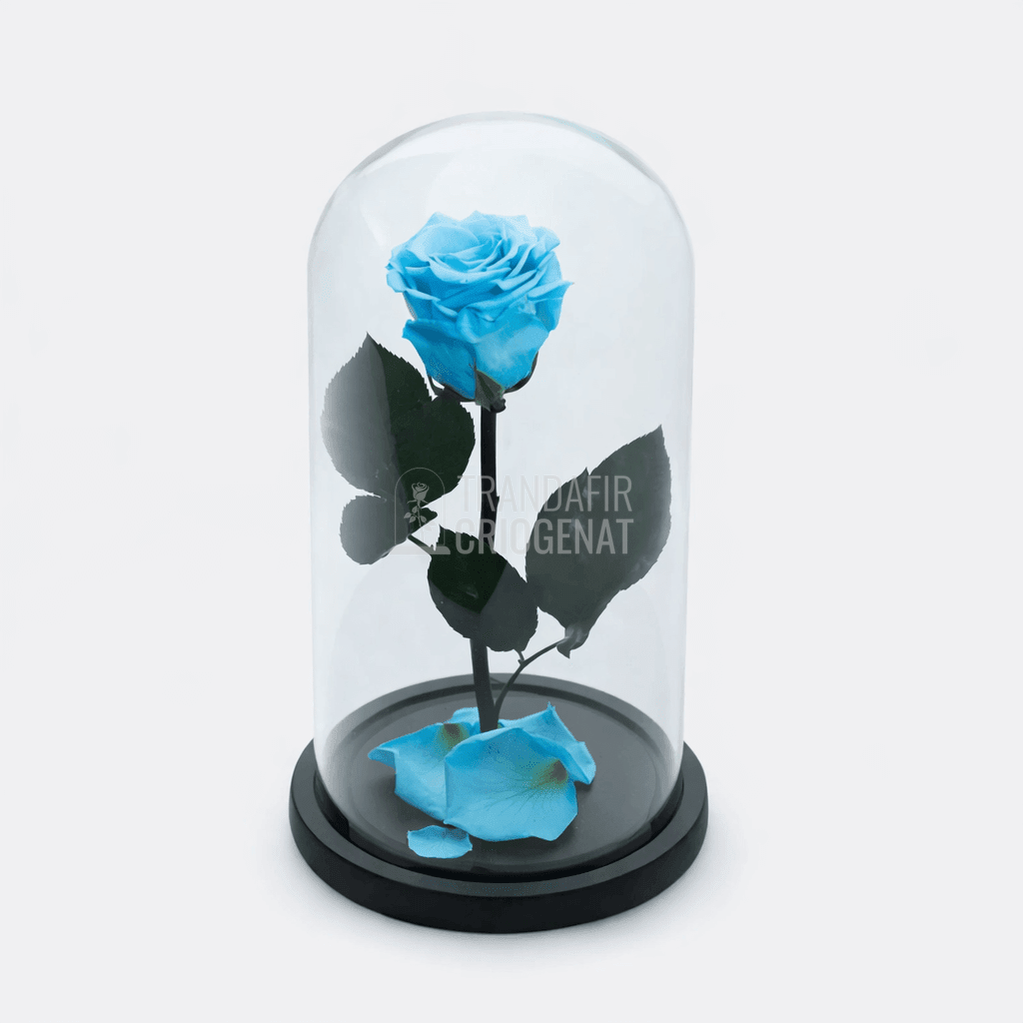 Trandafir Criogenat Bleu Turquoise în Cupolă de Sticlă Cadou Perfect Femei cu Mesaj Scris