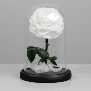 Trandafir Criogenat Bonita Alb în Cupolă de Sticlă cu Mesaj Personalizat Cadou pentru Femei