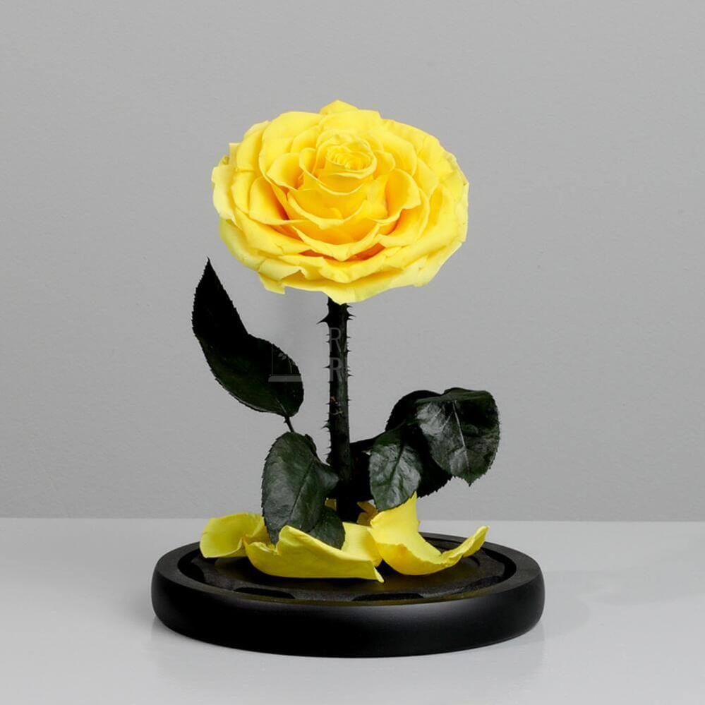 Trandafir Criogenat Bonita Galben În Cupolă De Sticlă Cu Mesaj Personalizat Cadou Pentru Femei