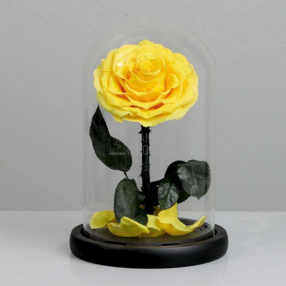 Trandafir Criogenat Bonita Galben În Cupolă De Sticlă Cu Mesaj Personalizat Cadou Pentru Femei