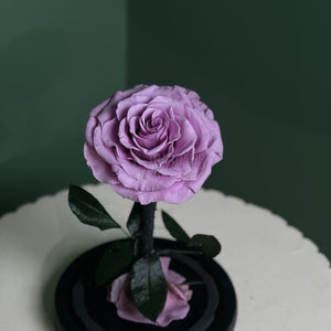 Trandafir Criogenat Bonita Lila În Cupolă De Sticlă Cu Mesaj Personalizat Cadou Pentru Femei