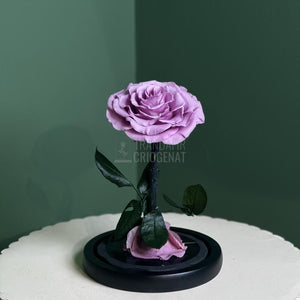 Trandafir Criogenat Bonita Lila În Cupolă De Sticlă Cu Mesaj Personalizat Cadou Pentru Femei