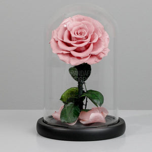 Trandafir Criogenat Bonita Roz Pal În Cupolă De Sticlă Cu Mesaj Personalizat Cadou Pentru Femei