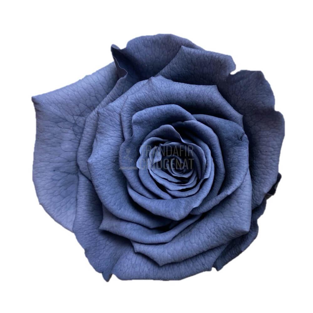 Trandafir Criogenat Gri Închis În Cupolă De Sticlă Cu Mesaj Scris Cadou Special Unic