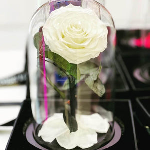 Trandafir Criogenat Mare Bonita Alb În Cupolă De Sticlă Cu Mesaj Personalizat Cadou