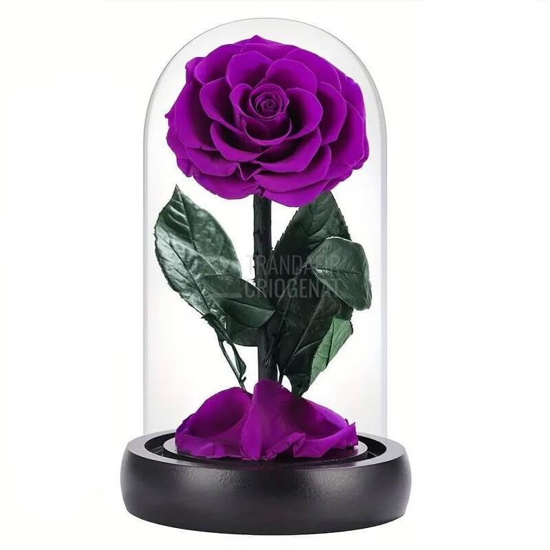 Trandafir Criogenat Mov Purpuriu In Cupolă De Sticlă Cu Mesaj Scris Cadou Pentru Femei