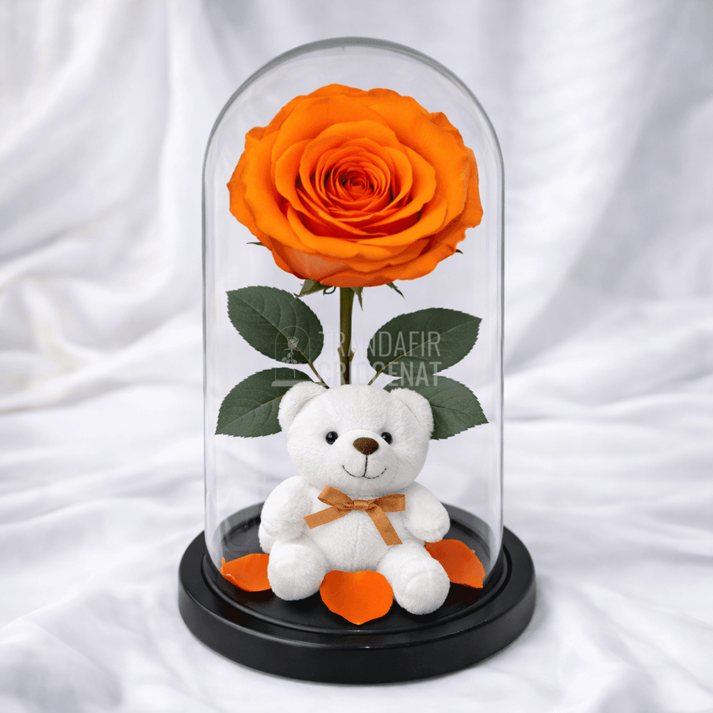 Trandafir Criogenat Portocaliu În Cupolă De Sticlă Cadou Cu Mesaj Personalizat Și Ursulet De Pluș