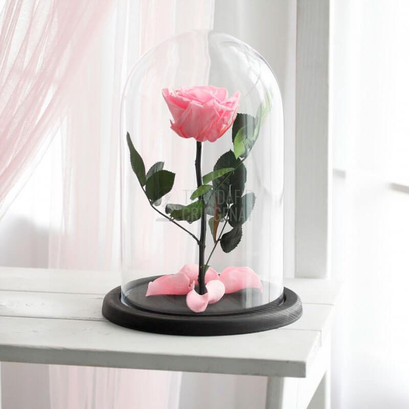 Trandafir Criogenat Roz În Cupolă De Sticlă Cu Mesaj Personalizat Rezistență Până La 25 De Ani