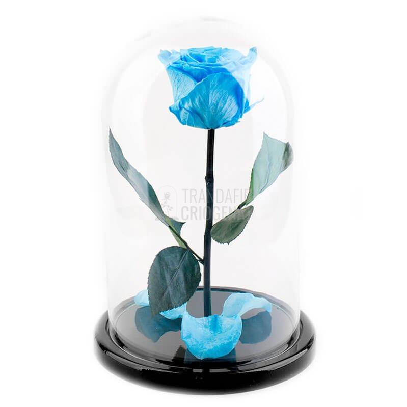Trandafir Criogenat XL Bleu În Cupolă De Sticlă Cadou Personalizat Cu Mesaj Scris