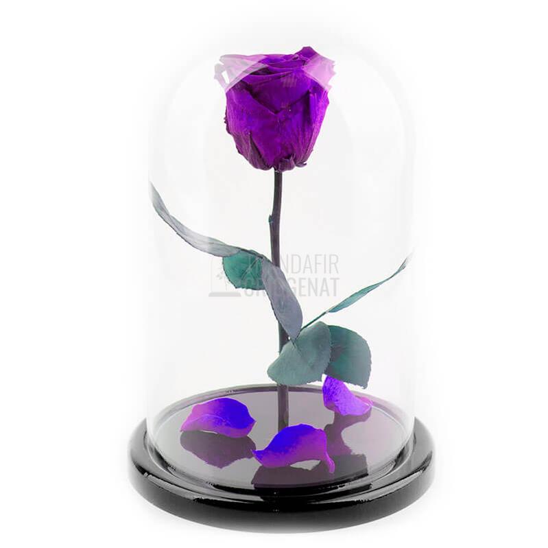Trandafir Criogenat XL Mov Purpuriu în Cupolă de Sticlă cu Mesaj Personalizat Gravat pe Plăcuță Ovală Cadou Emoționant