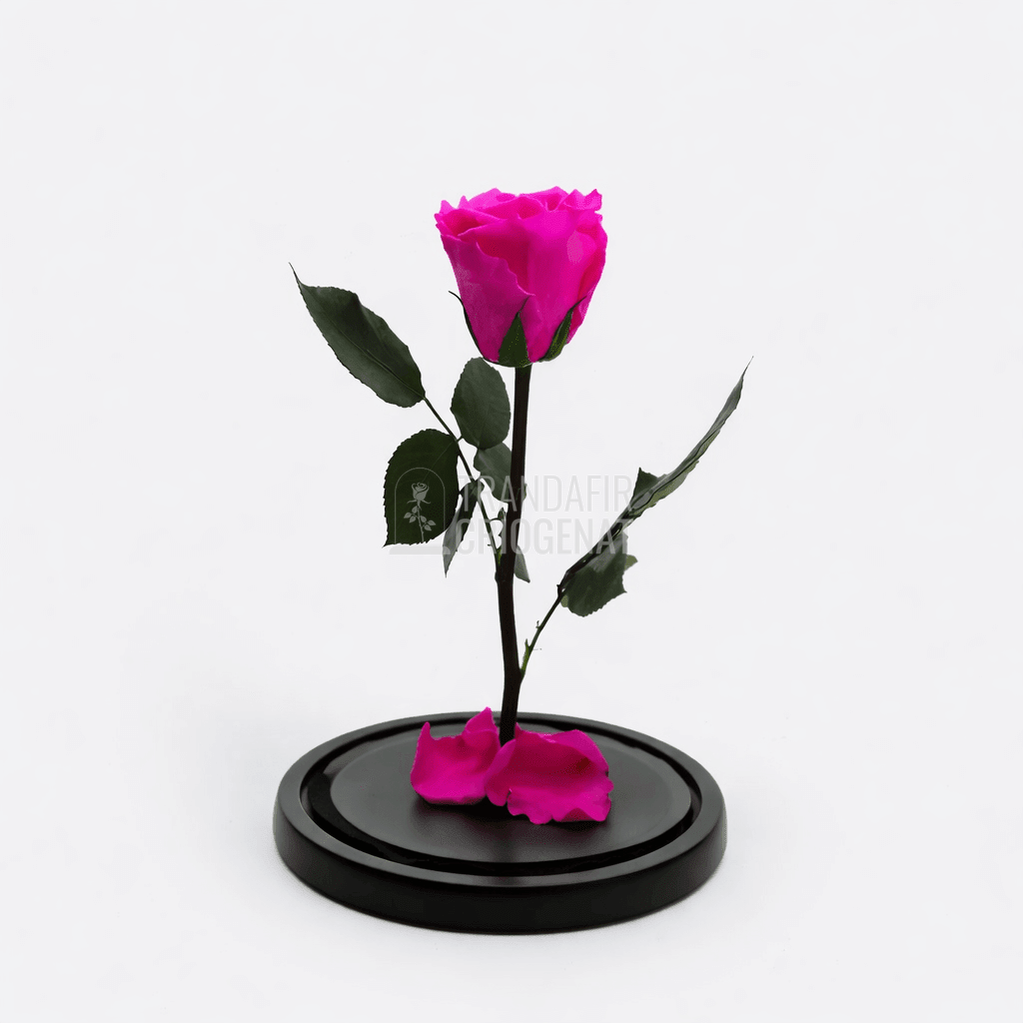 Trandafir Criogenat XL Roz Ciclam in Cupola de Sticla Cadou Personalizat cu Mesaj Rezista pana la 25 Ani