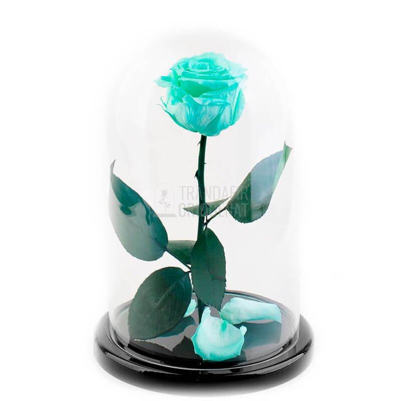 Trandafir Criogenat XL Turcoaz În Cupolă De Sticlă Cadou Personalizat Cu Mesaj Rezistă 25 Ani