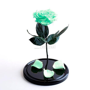 Trandafir Criogenat XL Verde Mentă În Cupolă De Sticlă Personalizat Cu Mesaj Cadou Elegant Durabil