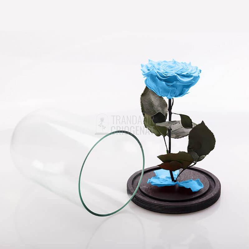 Trandafir Criogenat XXL Bleu În Cupolă De Sticlă Cu Mesaj Personalizat Cadou Pentru Femei