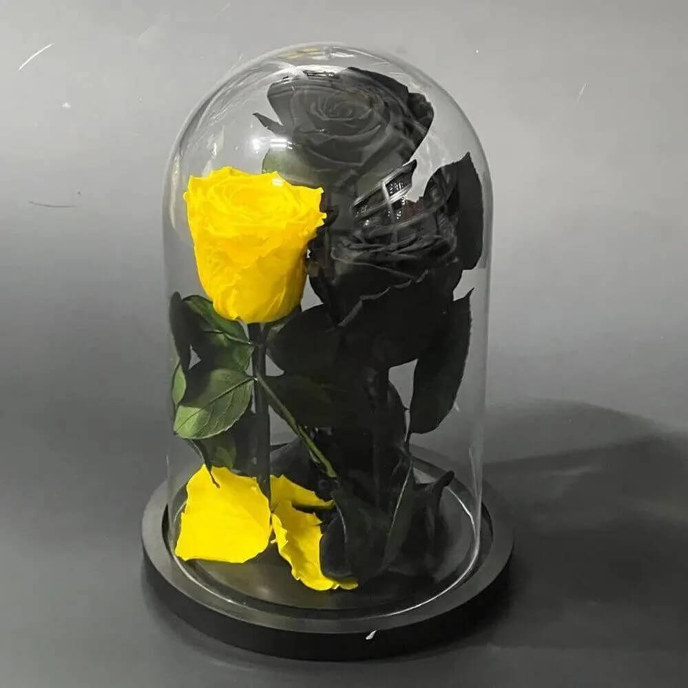 Aranjament 2 Trandafiri Negri Si 1 Galben Criogenat In Cupola De Sticla - Trandafir - Criogenat.ro