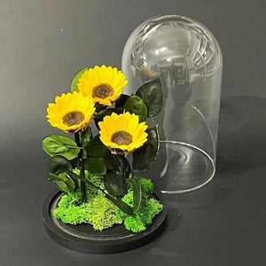 Aranjament Cu 3 Floarea Soarelui Criogenate In Cupolă De Sticlă 6 Cm Cadou - Trandafir - Criogenat.ro