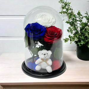 Aranjament Cu 3 Trandafiri Criogenati În Cupolă De Sticlă Alb Albastru Roșu - Trandafir - Criogenat.ro
