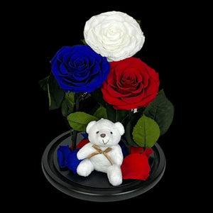 Aranjament Cu 3 Trandafiri Criogenati În Cupolă De Sticlă Alb Albastru Roșu - Trandafir - Criogenat.ro